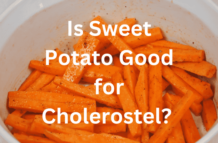 Sweet Potato Cholesterol Amount at Gary Weaver blog