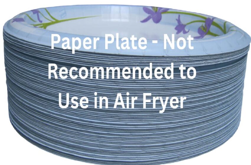 You shouldn't use paper plates in the air fryer.