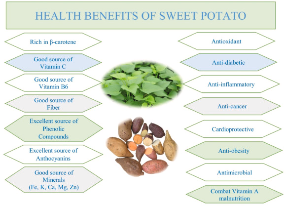 Chart showing benefits of sweet potato