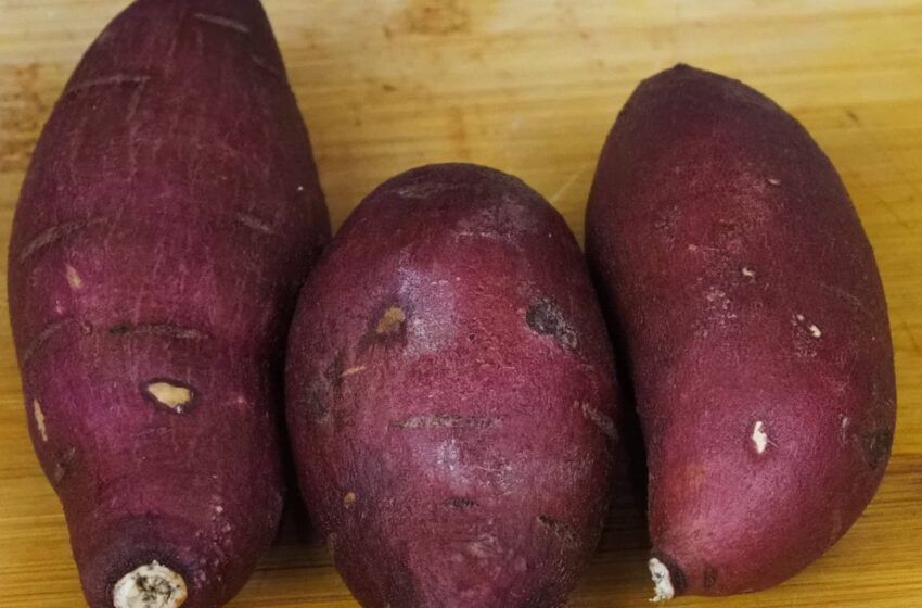 Japanese sweet potato-undiscovered health benefits