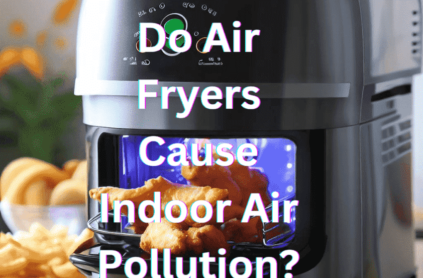 Image of air fryer with the label 'Do air fryer cause indoor pollution'.