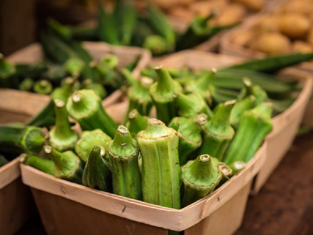 okra purchased from local market
